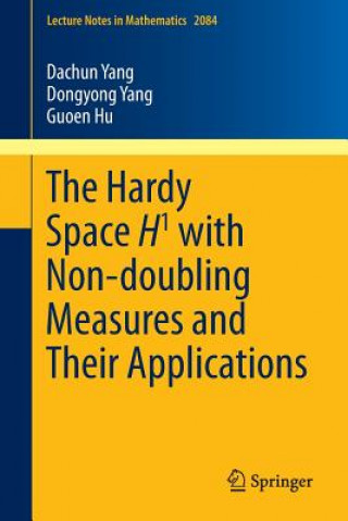 Könyv Hardy Space H1 with Non-doubling Measures and Their Applications Guoen Hu