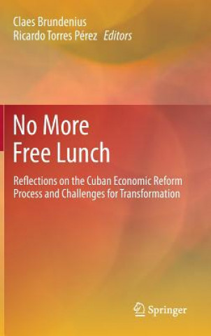Kniha No More Free Lunch Claes Brundenius