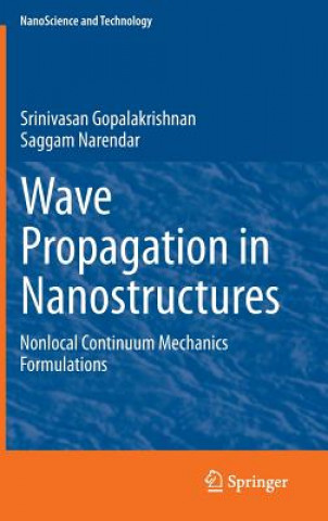 Buch Wave Propagation in Nanostructures Srinivasan Gopalakrishnan