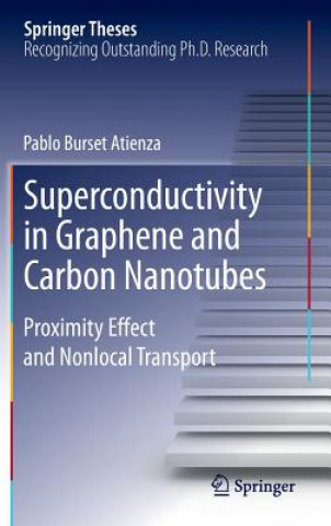 Buch Superconductivity in Graphene and Carbon Nanotubes Pablo Burset Atienza