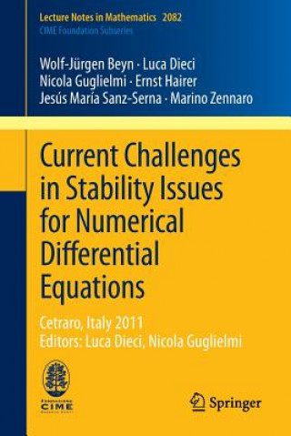 Könyv Current Challenges in Stability Issues for Numerical Differential Equations Wolf-Jürgen Beyn