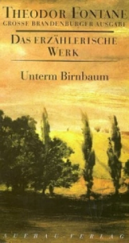 Libro Unterm Birnbaum Theodor Fontane