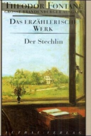 Kniha Der Stechlin Klaus-Peter Möller