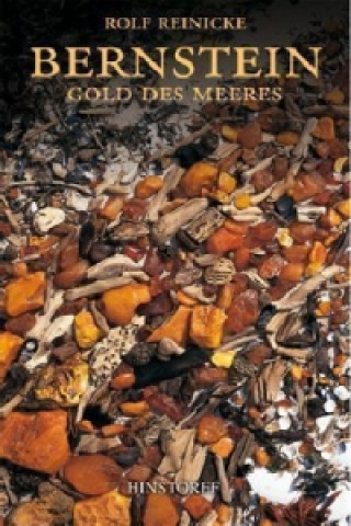 Kniha Bernstein. Gold des Meeres Rolf Reinicke