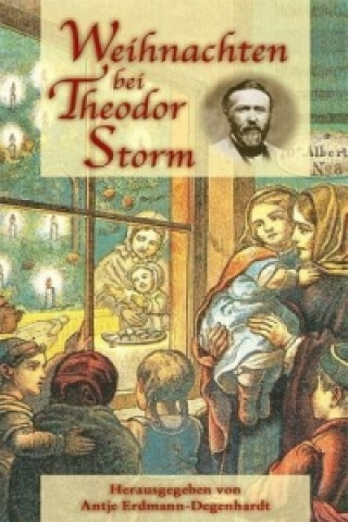 Könyv Weihnachten bei Theodor Storm Antje Erdmann-Degenhardt