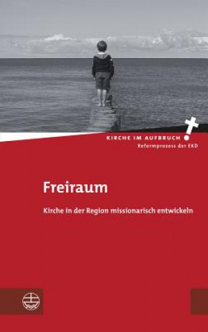 Knjiga Freiraum Heinzpeter Hempelmann