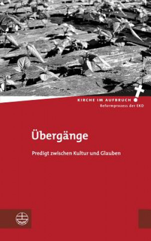 Book Übergänge Kathrin Oxen