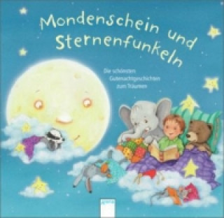 Kniha Mondenschein und Sternenfunkeln Julia Boehme