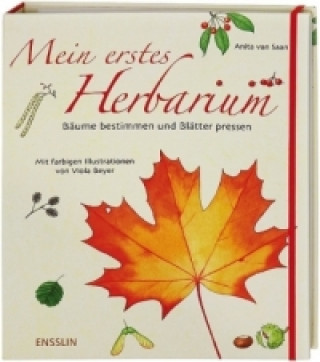 Kniha Mein erstes Herbarium - Bäume bestimmen und Blätter pressen Anita van Saan
