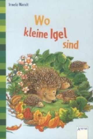 Kniha Wo kleine Igel sind Irmela Wendt