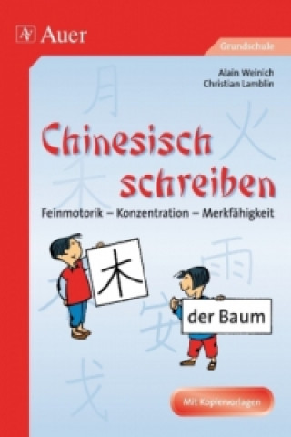 Kniha Chinesisch schreiben Alain Weinich