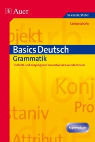 Carte Basics Deutsch, Grammatik Stefan Schäfer
