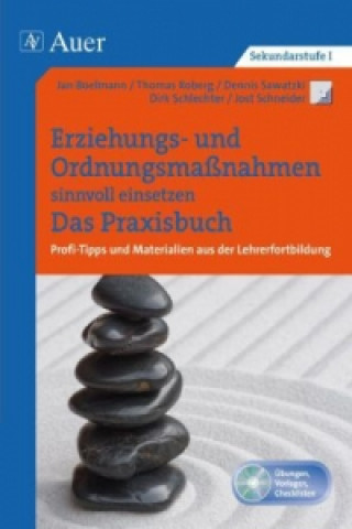 Kniha Erziehungs- und Ordnungsmaßnahmen einsetzen. Das Praxisbuch, m. 1 CD-ROM Boelmann