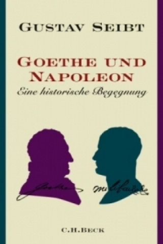 Kniha Goethe und Napoleon Gustav Seibt