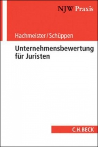Kniha Unternehmensbewertung für Juristen Dirk Hachmeister