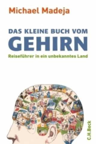 Carte Das kleine Buch vom Gehirn Michael Madeja