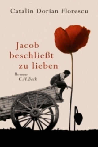 Könyv Jacob beschließt zu lieben Catalin D. Florescu