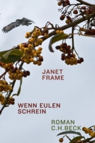 Kniha Wenn Eulen schrein Janet Frame