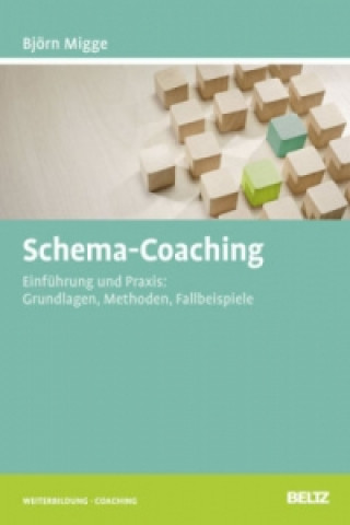 Carte Schema-Coaching Björn Migge
