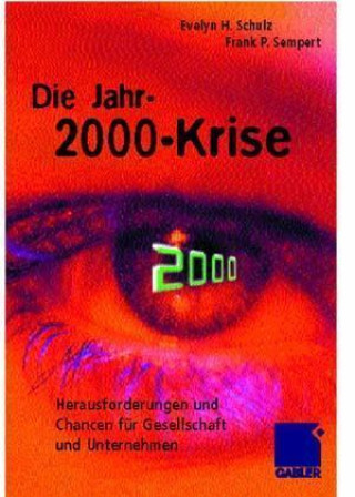 Книга Die Jahr-2000-Krise Evelyn H. Schulz