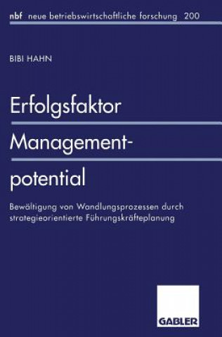 Kniha Erfolgsfaktor Managementpotential Bibi Hahn