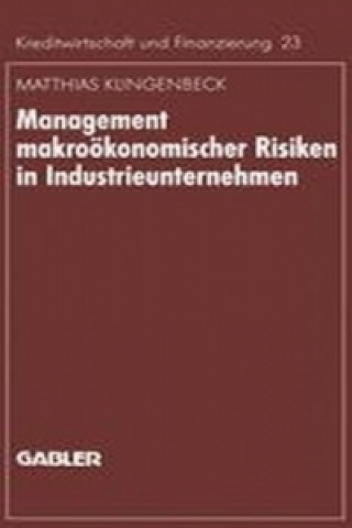 Könyv Management makrookonomischer Risiken in Industrieunternehmen Matthias Klingenbeck