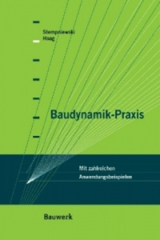 Könyv Baudynamik-Praxis Lothar Stempniewski
