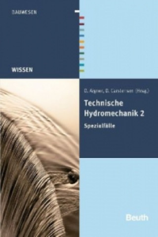 Knjiga Technische Hydromechanik. Bd.2 Detlef Aigner