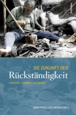 Buch Die Zukunft der Rückständigkeit David Feest