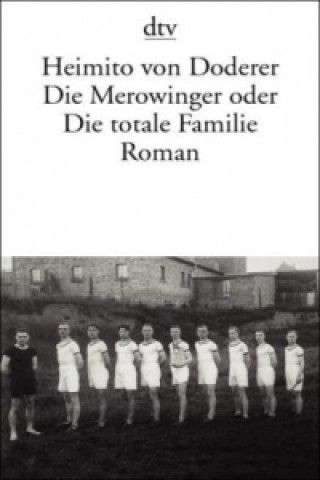 Kniha Die Merowinger oder Die totale Familie Heimito von Doderer