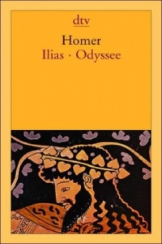 Könyv Ilias. Odyssee Homer