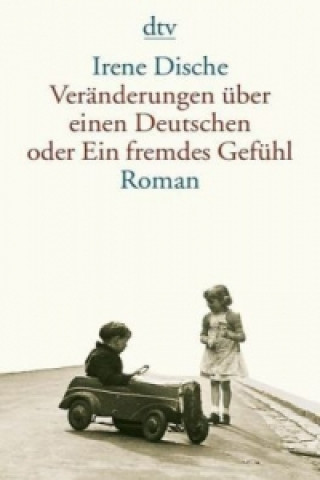 Buch Veränderungen über einen Deutschen oder Ein fremdes Gefühl Irene Dische