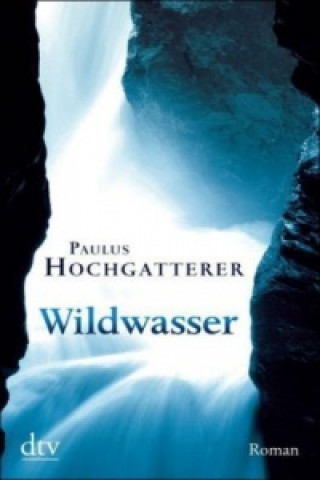 Knjiga Wildwasser Paulus Hochgatterer