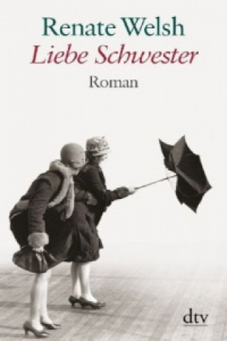 Книга Liebe Schwester, Großdruck Renate Welsh