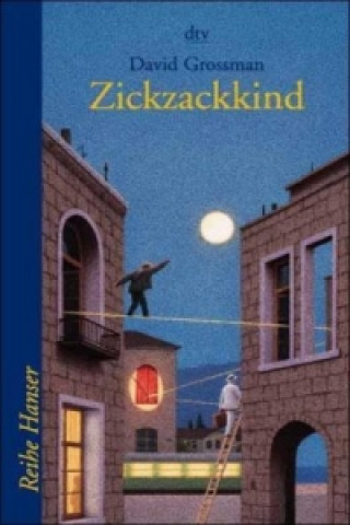 Könyv Zickzackkind David Grossman
