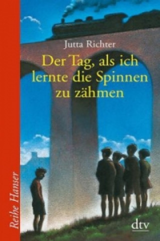 Könyv Der Tag als ich lernte die Spinnen zu zähmen Jutta Richter