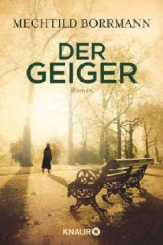 Buch Der Geiger Mechtild Borrmann