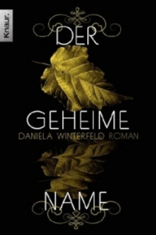 Knjiga Der geheime Name Daniela Winterfeld