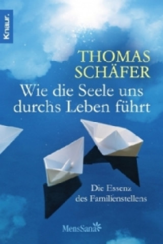 Kniha Wie die Seele uns durchs Leben führt Thomas Schäfer