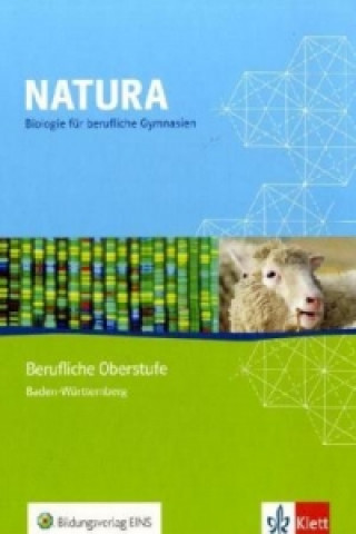 Könyv Natura - Biologie für Berufliche Gymnasien Dieter von Beeren