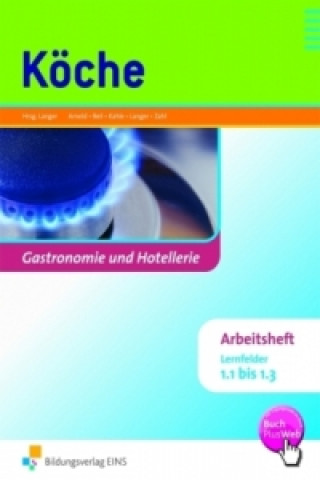 Könyv Köche, Lernfelder 1.1 bis 1.3, Arbeitsheft Birgit Langer