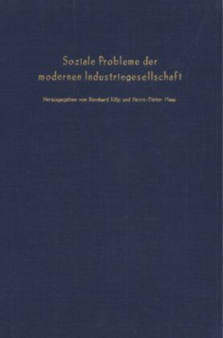 Buch Soziale Probleme der modernen Industriegesellschaft. Bernhard Külp