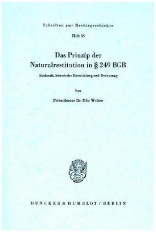 Könyv Das Prinzip der Naturalrestitution in 249 BGB. Udo Wolter