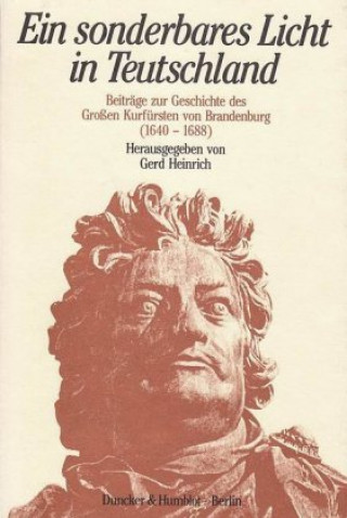 Kniha Ein sonderbares Licht in Teutschland. Gerd Heinrich