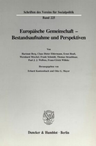 Kniha Europäische Gemeinschaft - Bestandsaufnahme und Perspektiven. Erhard Kantzenbach