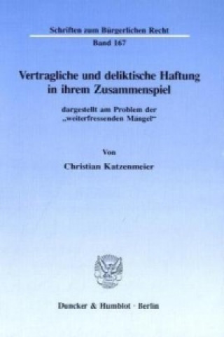 Könyv Vertragliche und deliktische Haftung in ihrem Zusammenspiel Christian Katzenmeier