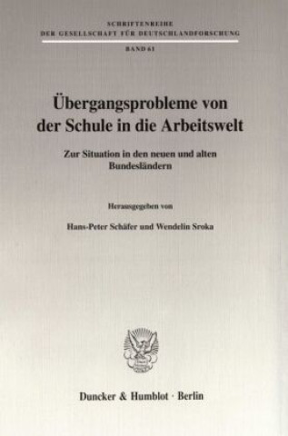 Kniha Übergangsprobleme von der Schule in die Arbeitswelt. Hans-Peter Schäfer