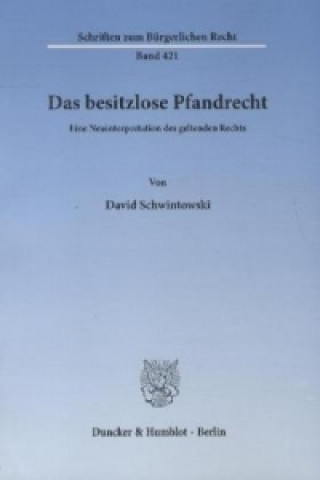 Könyv Das besitzlose Pfandrecht David Schwintowski