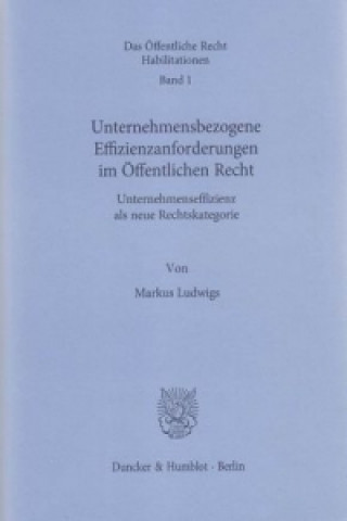 Kniha Unternehmensbezogene Effizienzanforderungen im Öffentlichen Recht. Markus Ludwigs