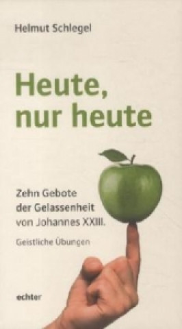 Kniha Heute, nur heute Helmut Schlegel